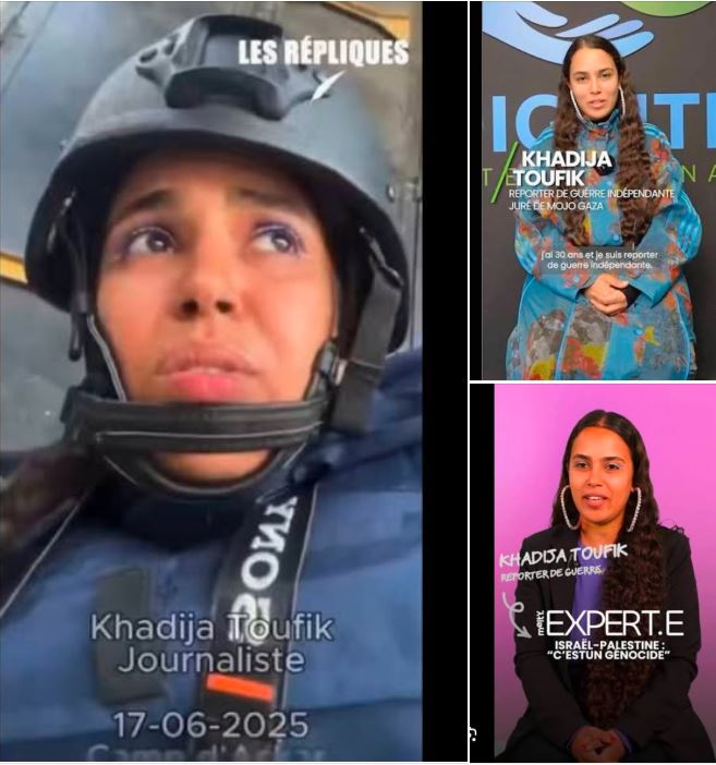 ⏚ kcirtap56890 ⏚ ✊🐢🍉 tweet media