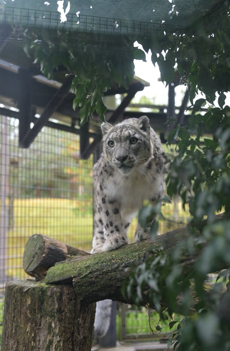 nobuharunakamura tweet media