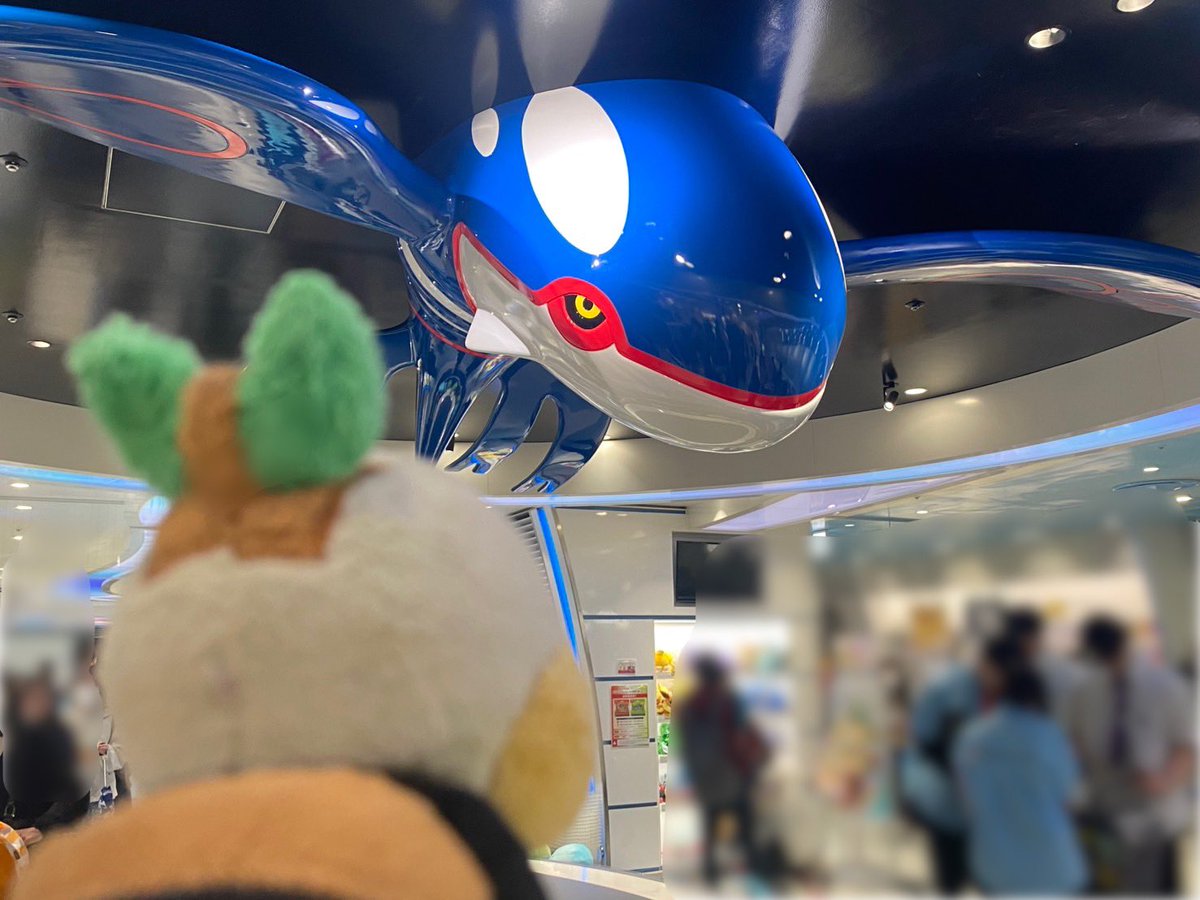 ちっちゃいナエトル tweet media