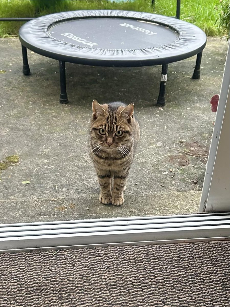 Sara Mary ⭐❤️ tweet media