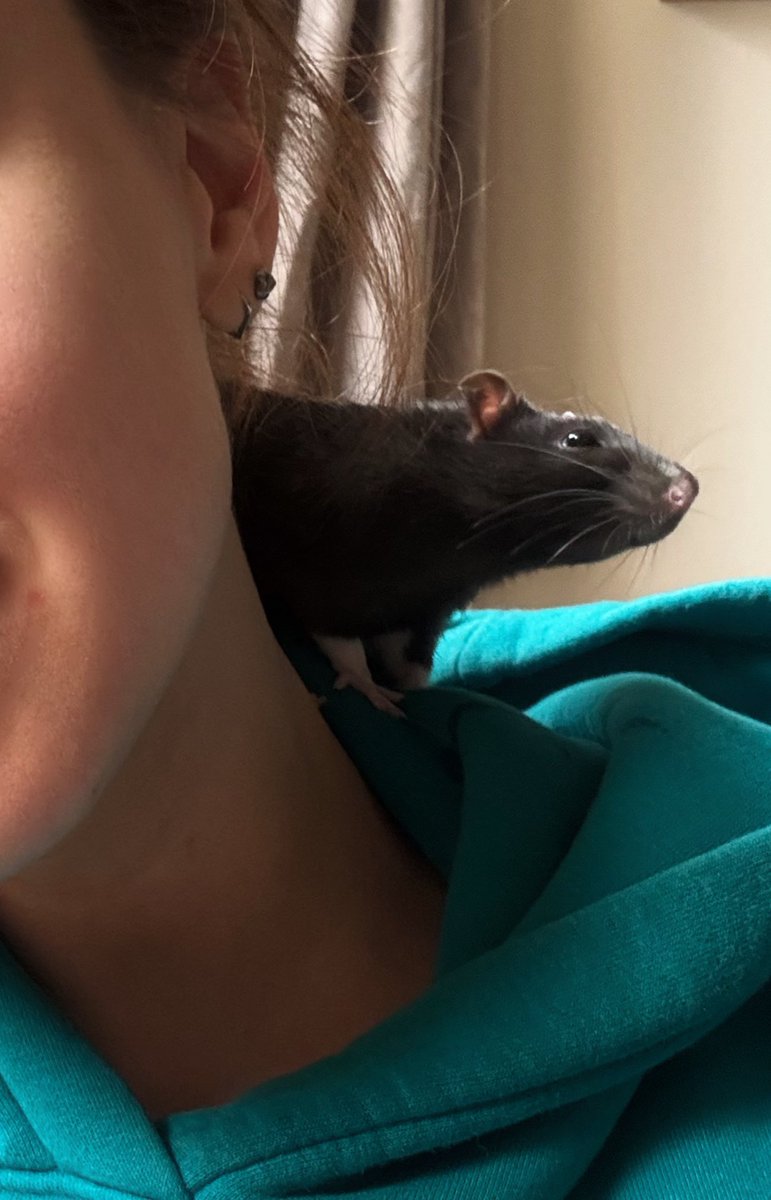 мелочь, а приятно tweet media