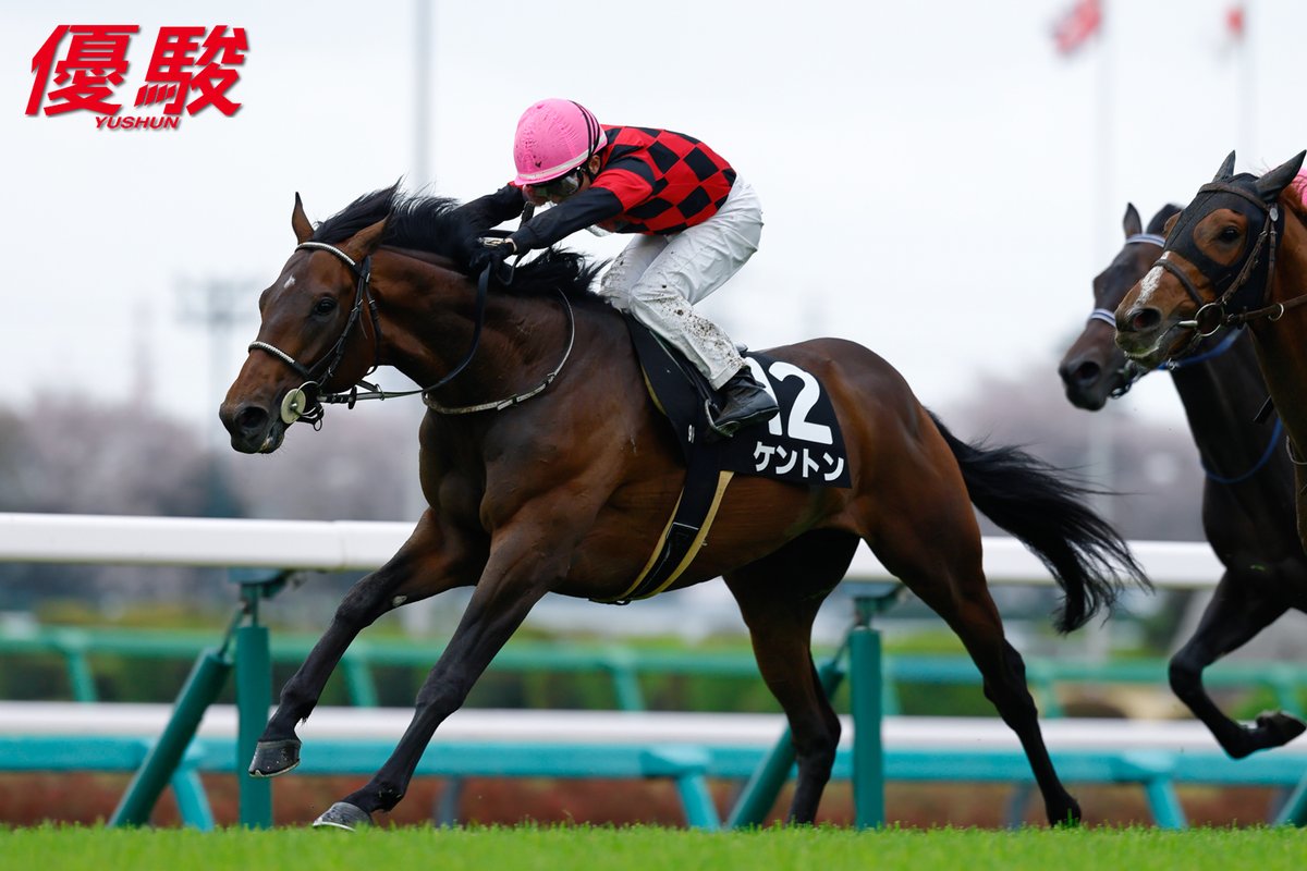 『優駿』編集部 tweet media