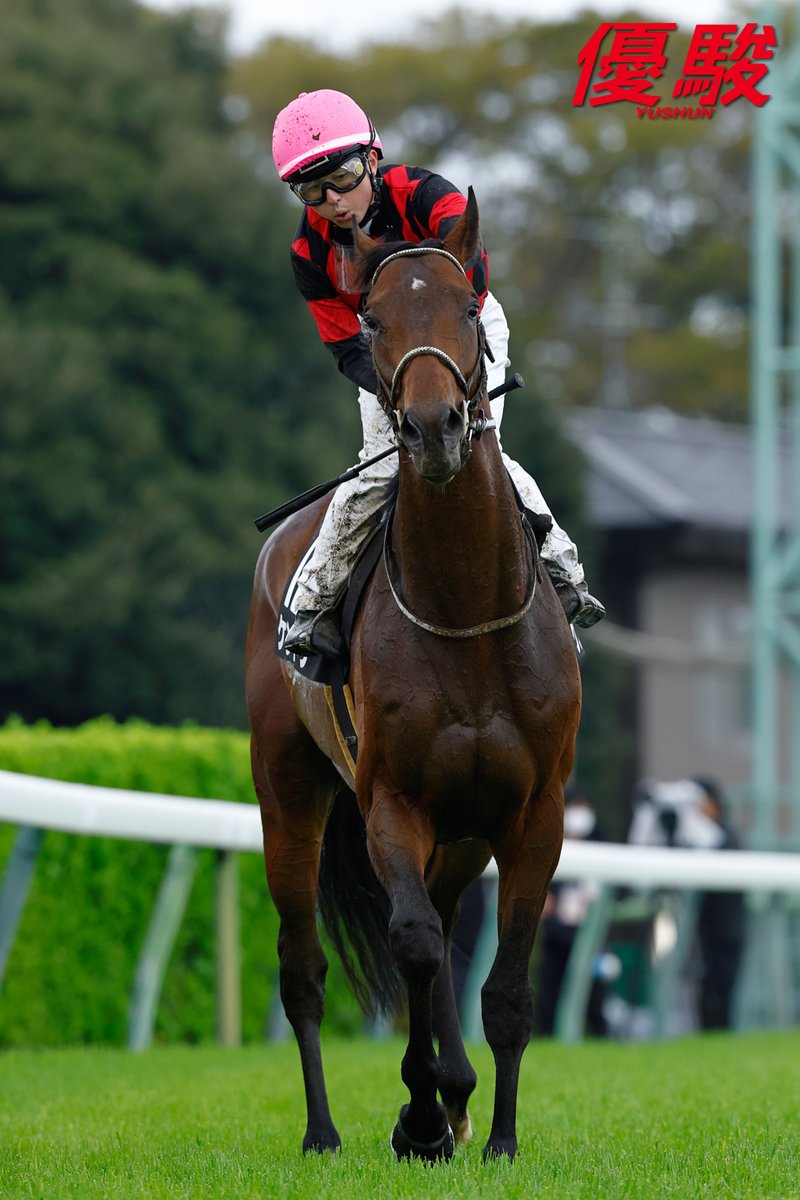 『優駿』編集部 tweet media