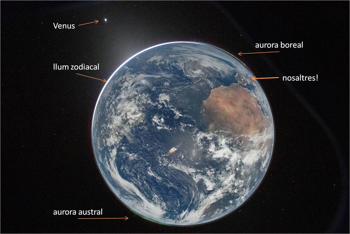 Joan Anton Català Amigó tweet media