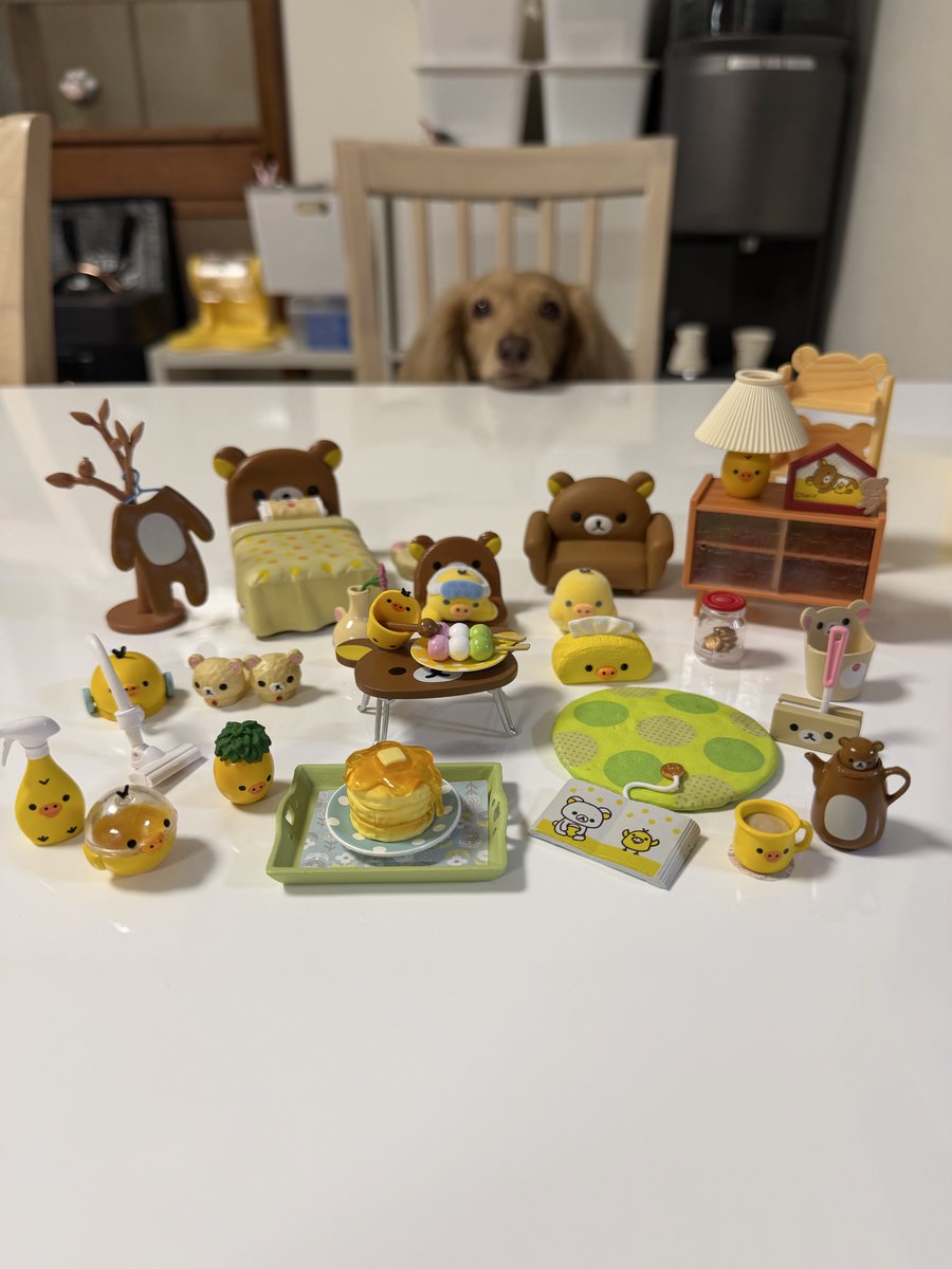 ほんわか姉妹(主) tweet media