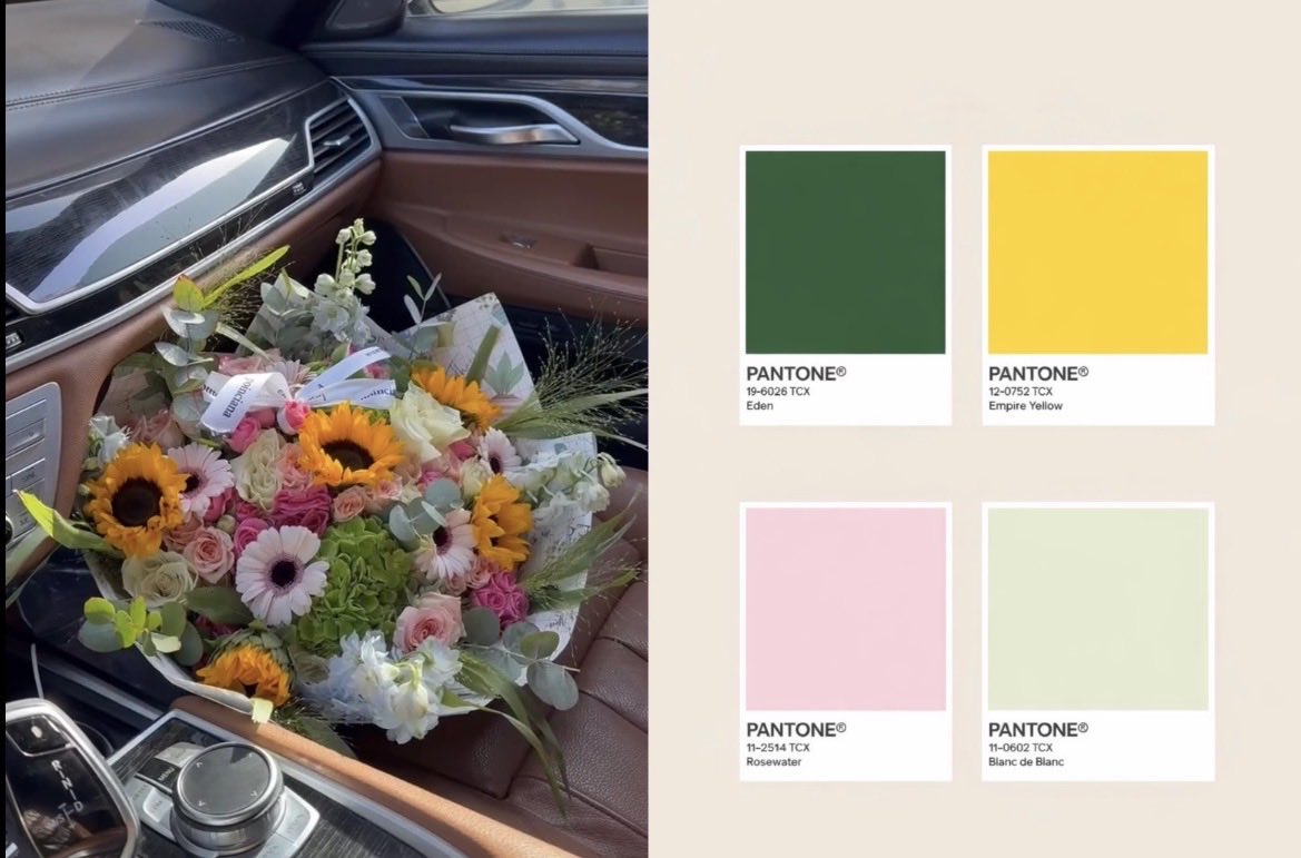 Poinciana|بونسيانا tweet media