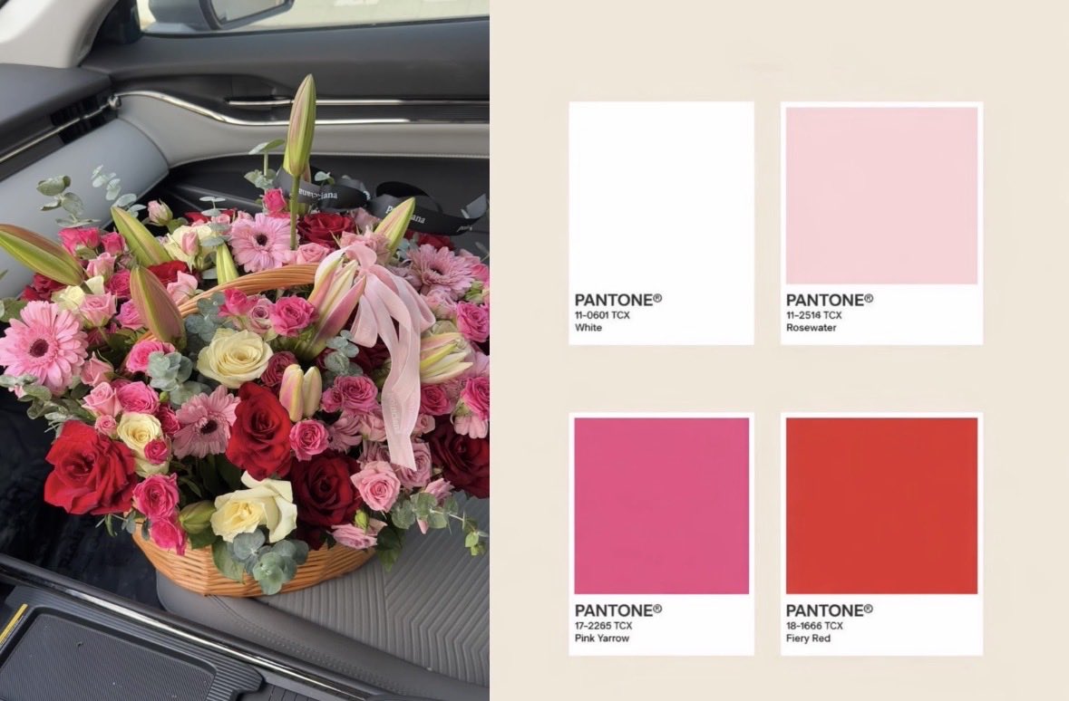 Poinciana|بونسيانا tweet media