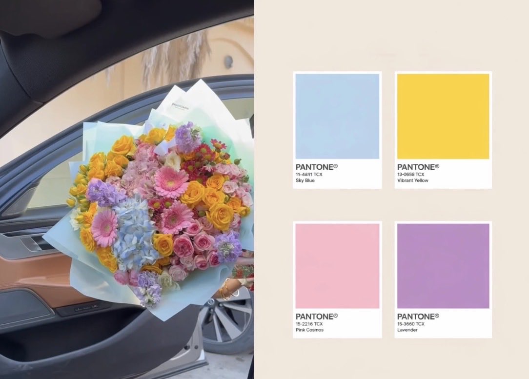 Poinciana|بونسيانا tweet media