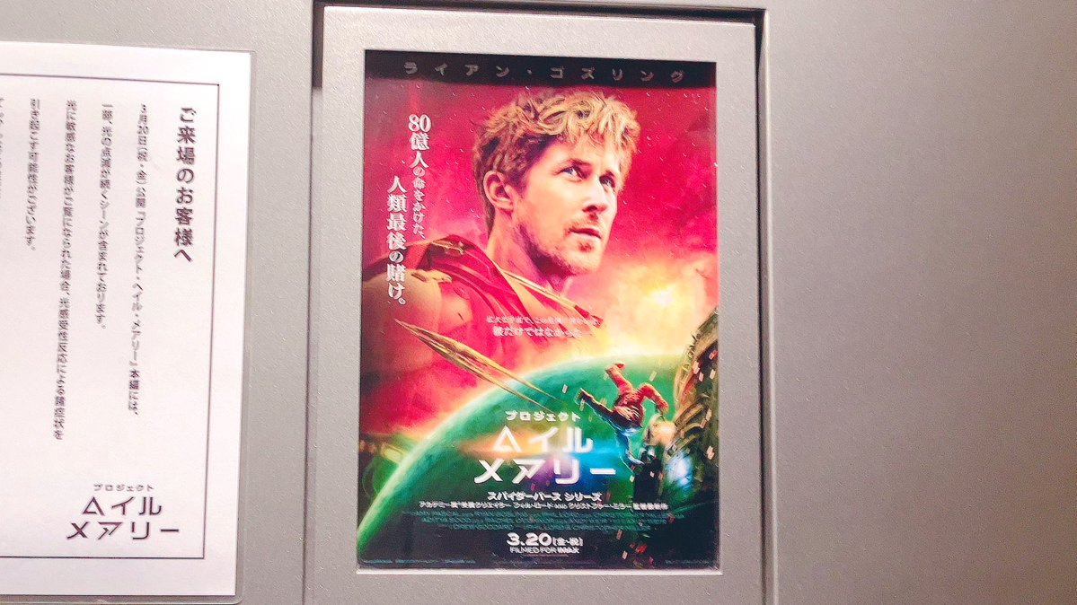 🎀きゃめめ🎀 tweet media