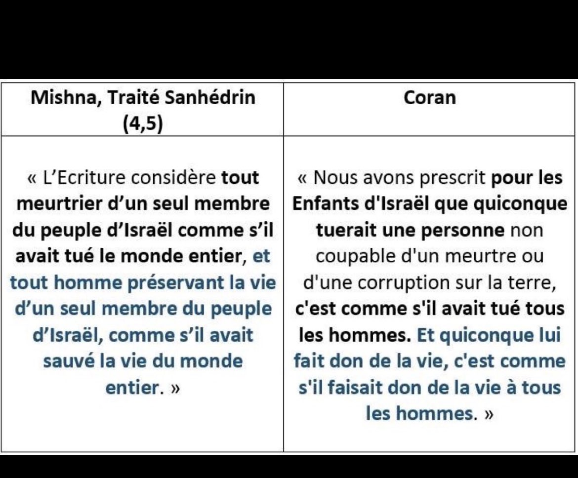 Maria 🇻🇦 tweet media