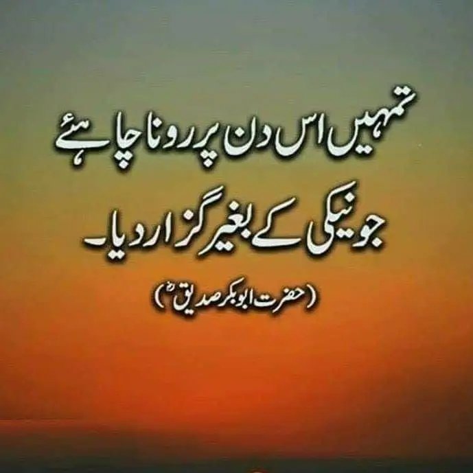 Sheikh saira sahiba tweet media