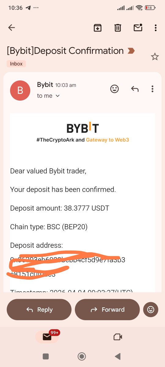 Mr. Bash 🥷 tweet media