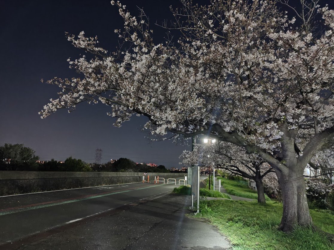 BAYLOOP ベイループ羽田 (釣具/イベント/展示/フリマ) NT海洋事業部 羽田拠点 tweet media