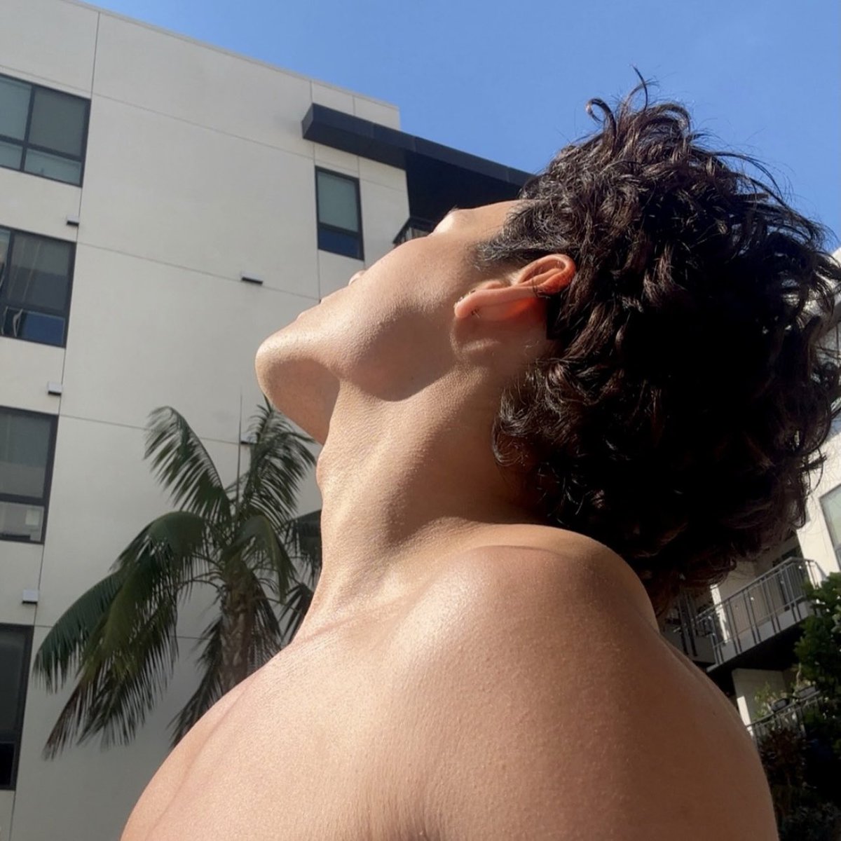 omar as cats 🐈⬛ tweet media