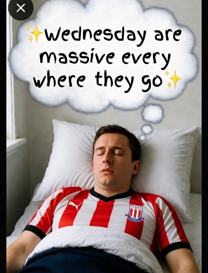 tdog1410's tweet photo. Shit nights sleeps thanks #swfc https://t.co/lhlnbM76xl