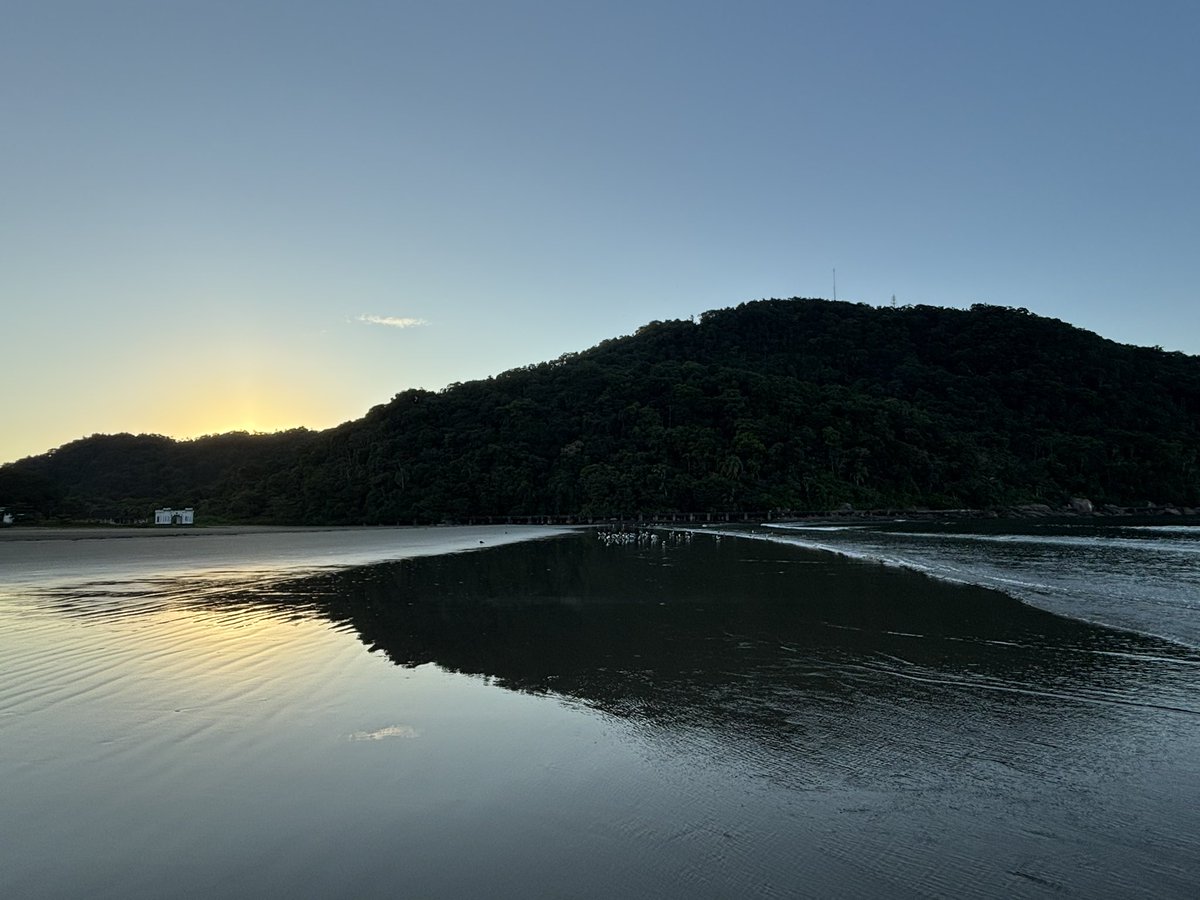 Carcamano tweet media