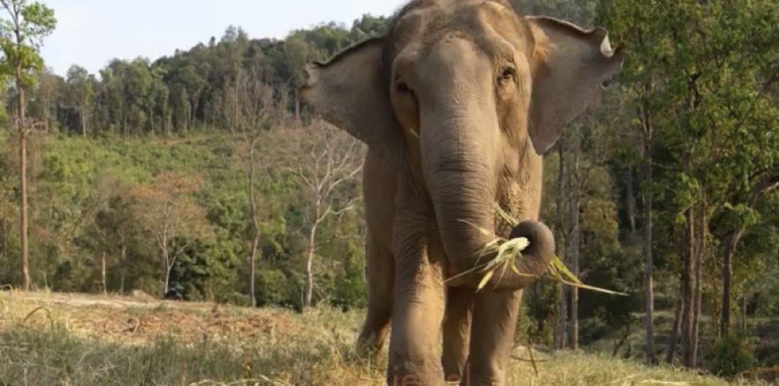 SOOYAA ⁷ tweet media