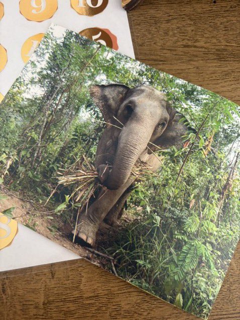 SOOYAA ⁷ tweet media