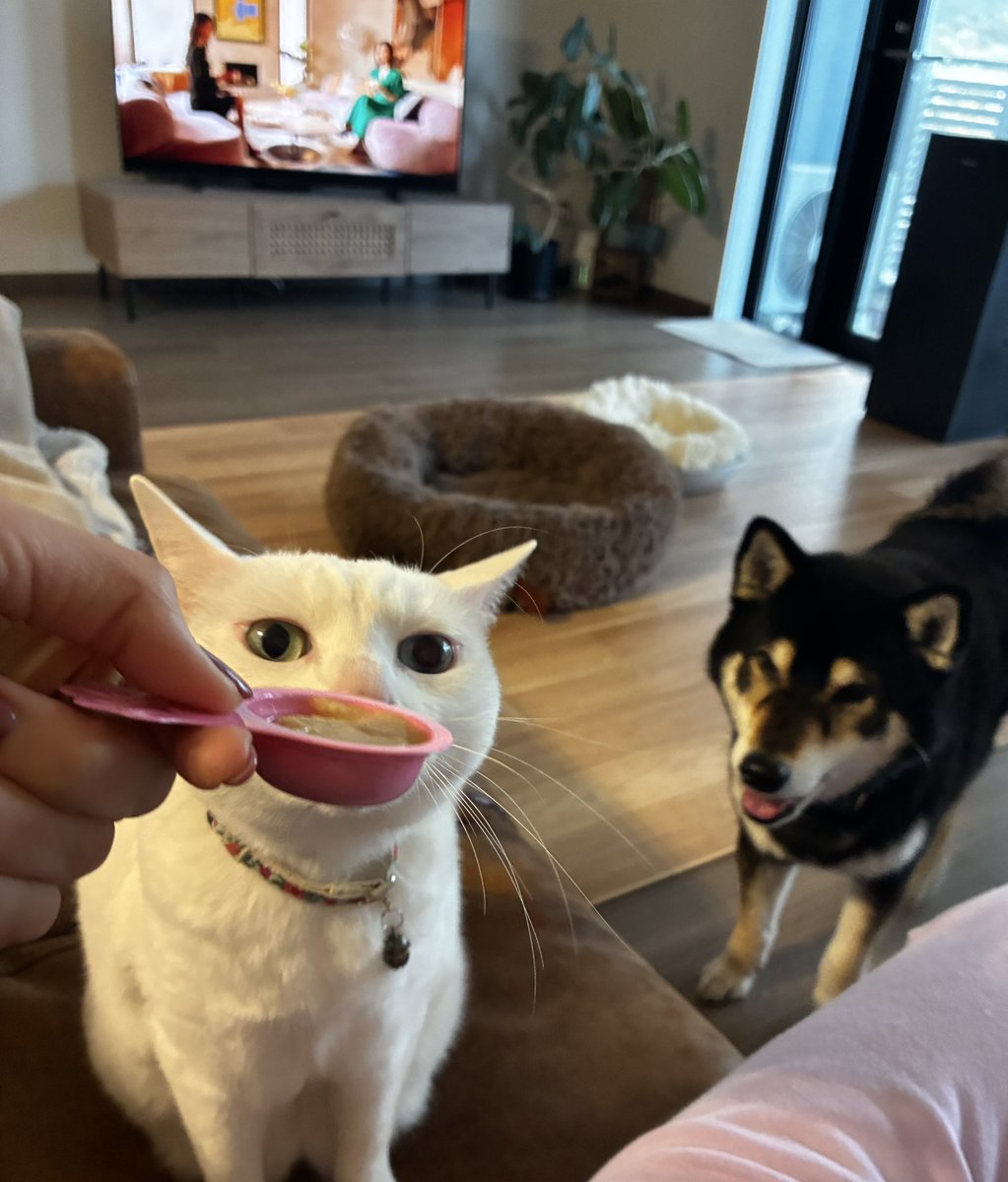 潤@ご機嫌マスター♡ tweet media