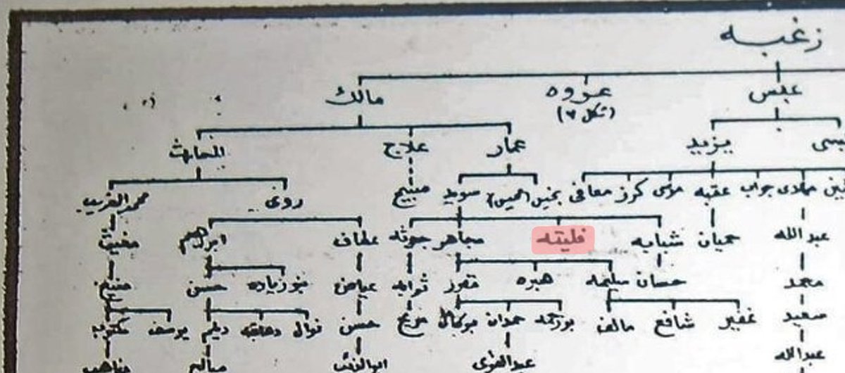 الهجرسي الهلالي tweet media