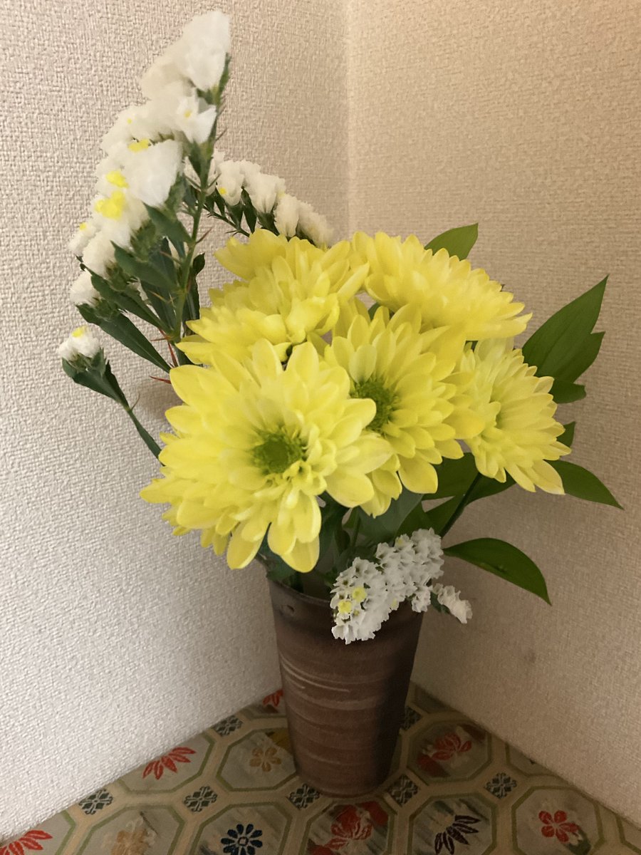 きじとら tweet media