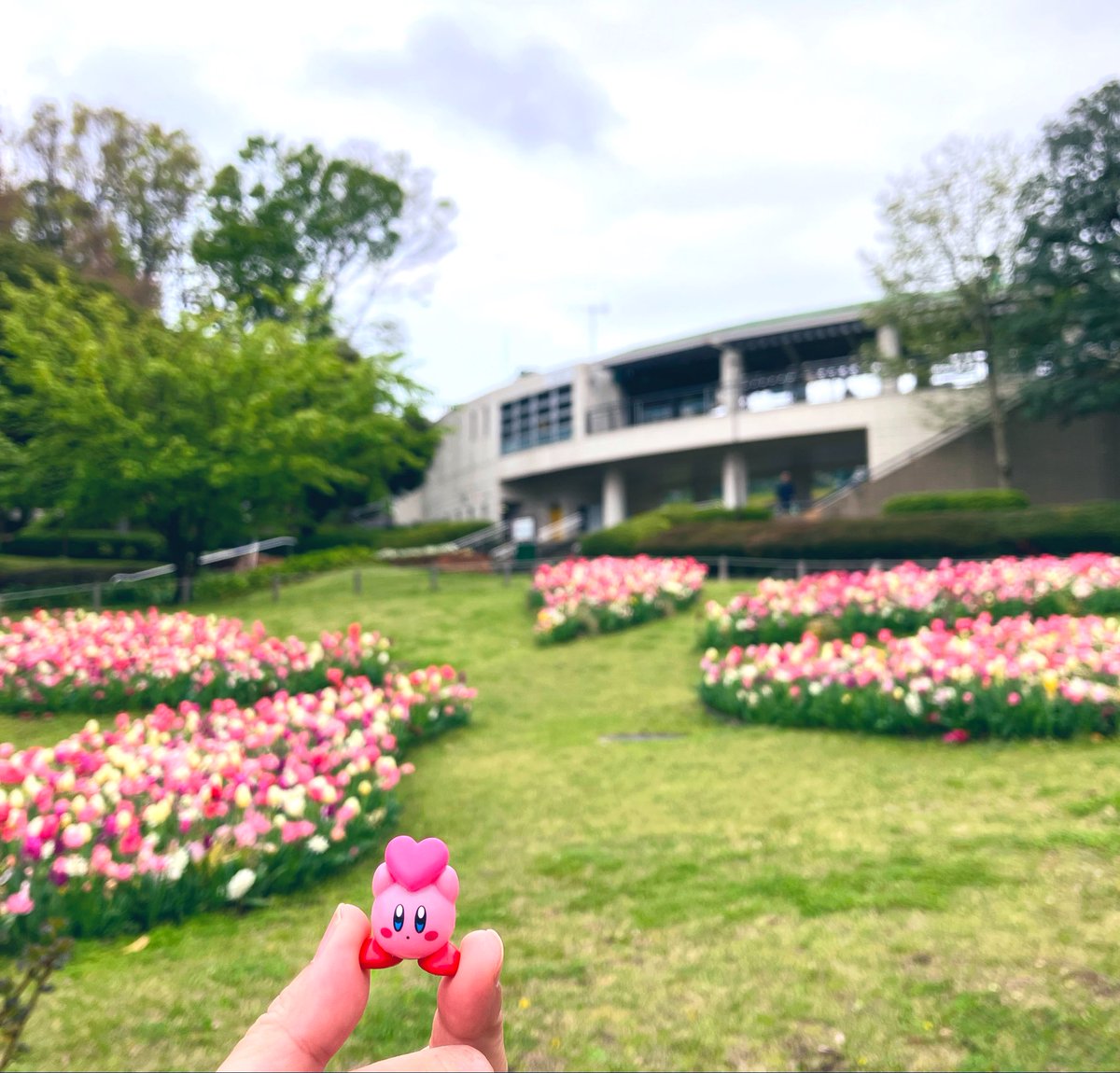 michi🌼いいかげん原稿やる🐝 tweet media