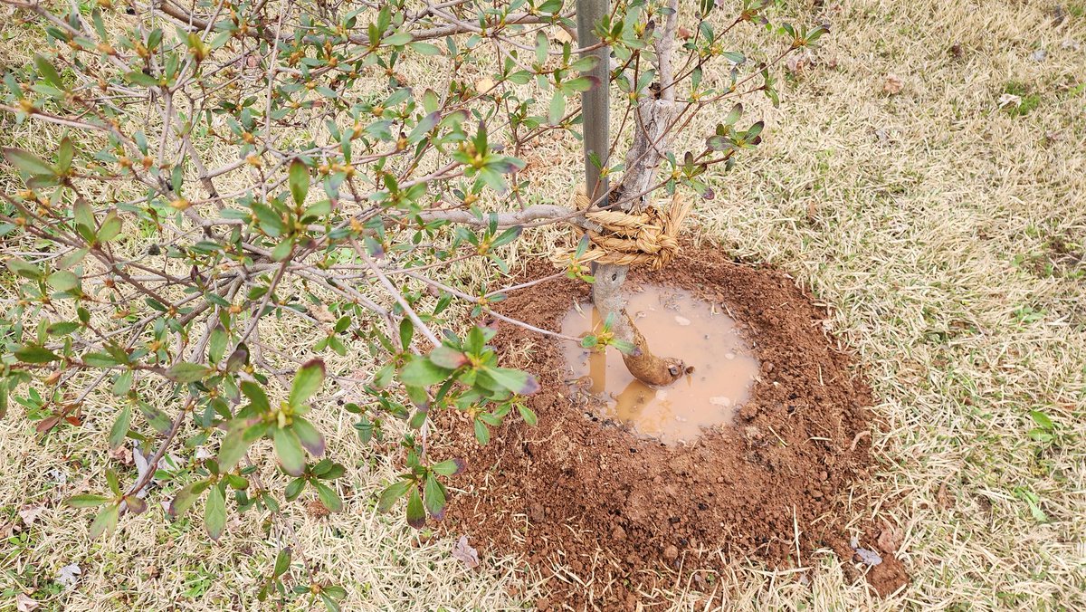 🎗🐬淵畵公🐬🎗 tweet media