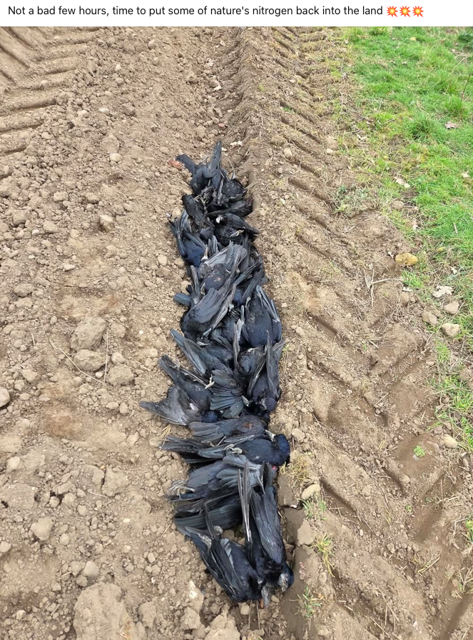 Richard Bowler tweet media