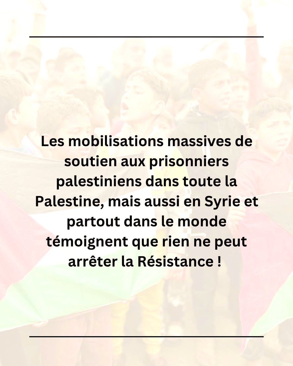 Comité Action Palestine tweet media