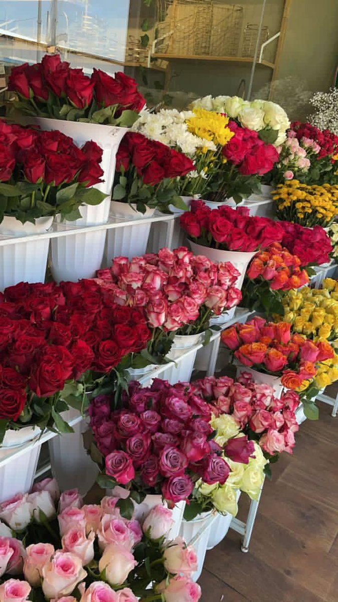 ༺ليہلى༻ tweet media