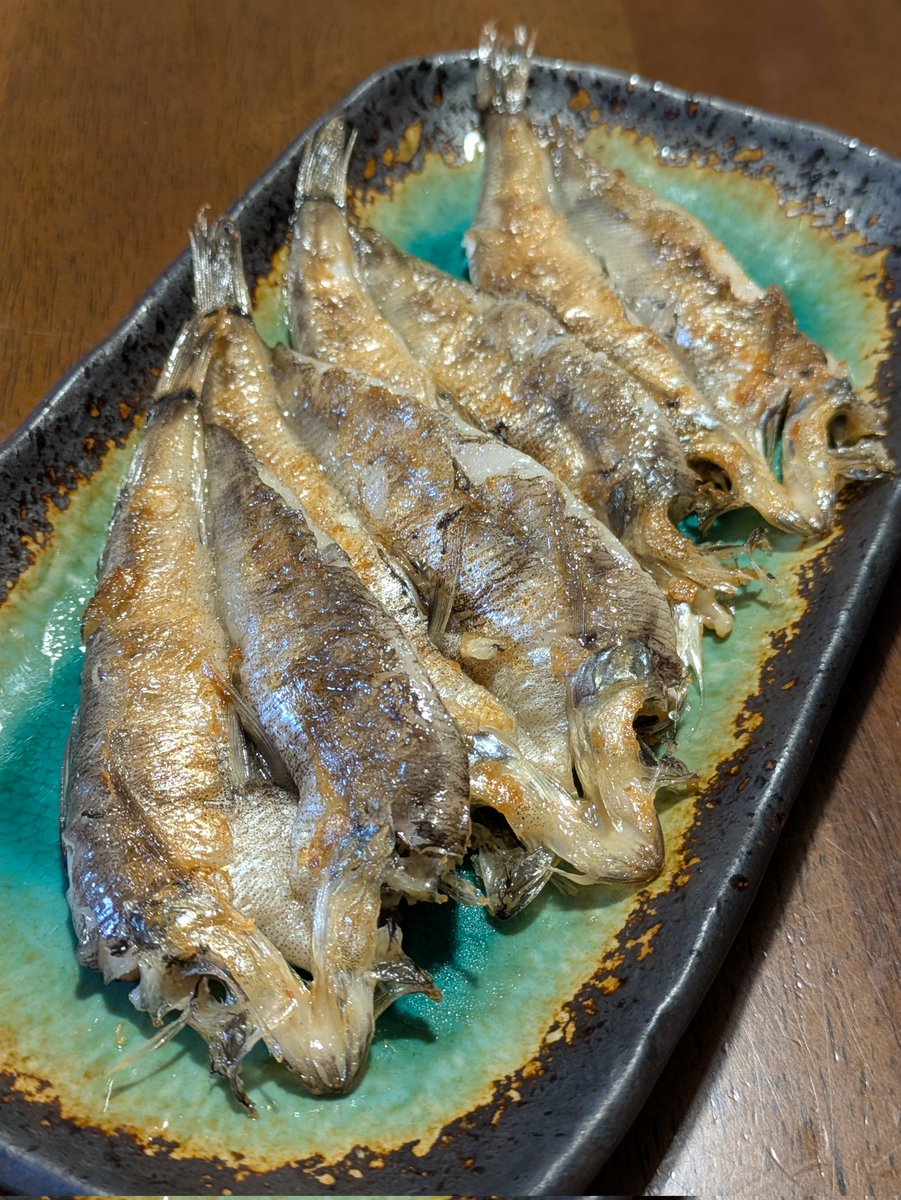 【常磐もの】の下剋上 tweet media