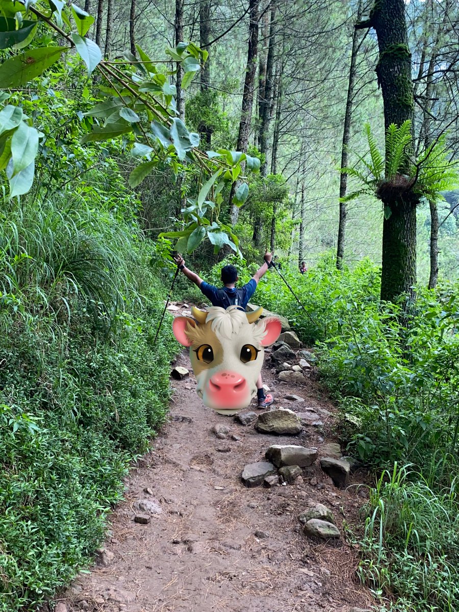 bombarr407's tweet photo. Gak ada tenaga buat ikutan tektok gunung 2000-3000.
Malas diperjalanan dan waktunya gak ada.
Jd salah satunya ya Telomoyo sama Andong
Yg terakhir. Ikut event sama grup trailrun jogja๐โค๏ธโ๐ฅโค๏ธโ๐ฅโค๏ธโ๐ฅ
#Telomoyo
#Andong
#Magelang
#Jogja
#Semarang https://t.co/ecEETqs18R