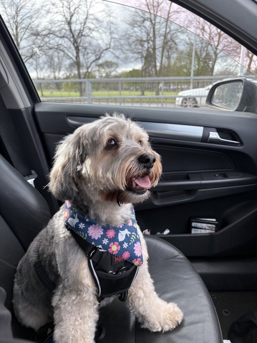 Kimba Kimba tweet media