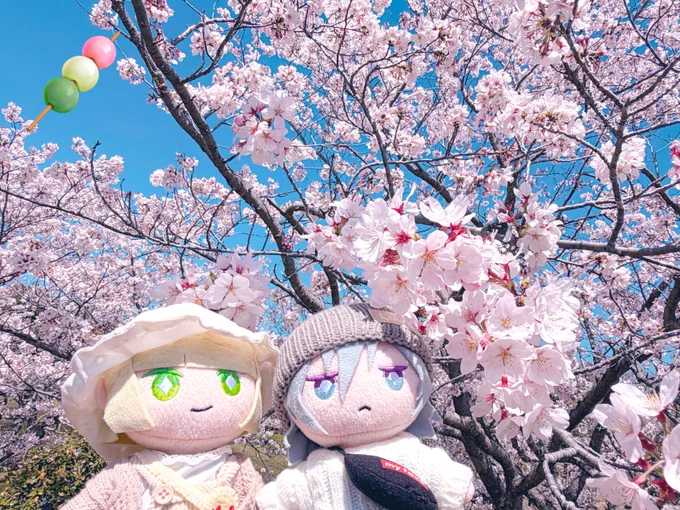( ˆˆ )(`・֊・')