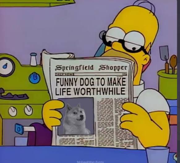 BANDYB81's tweet photo. @doge100percent @Sommerray5122 @realdogebet 
@DOGE https://t.co/0YI5AlfPAt