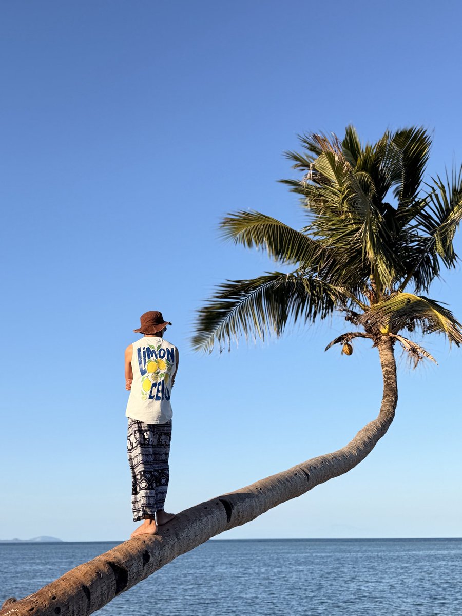 psych_ko😺 tweet media