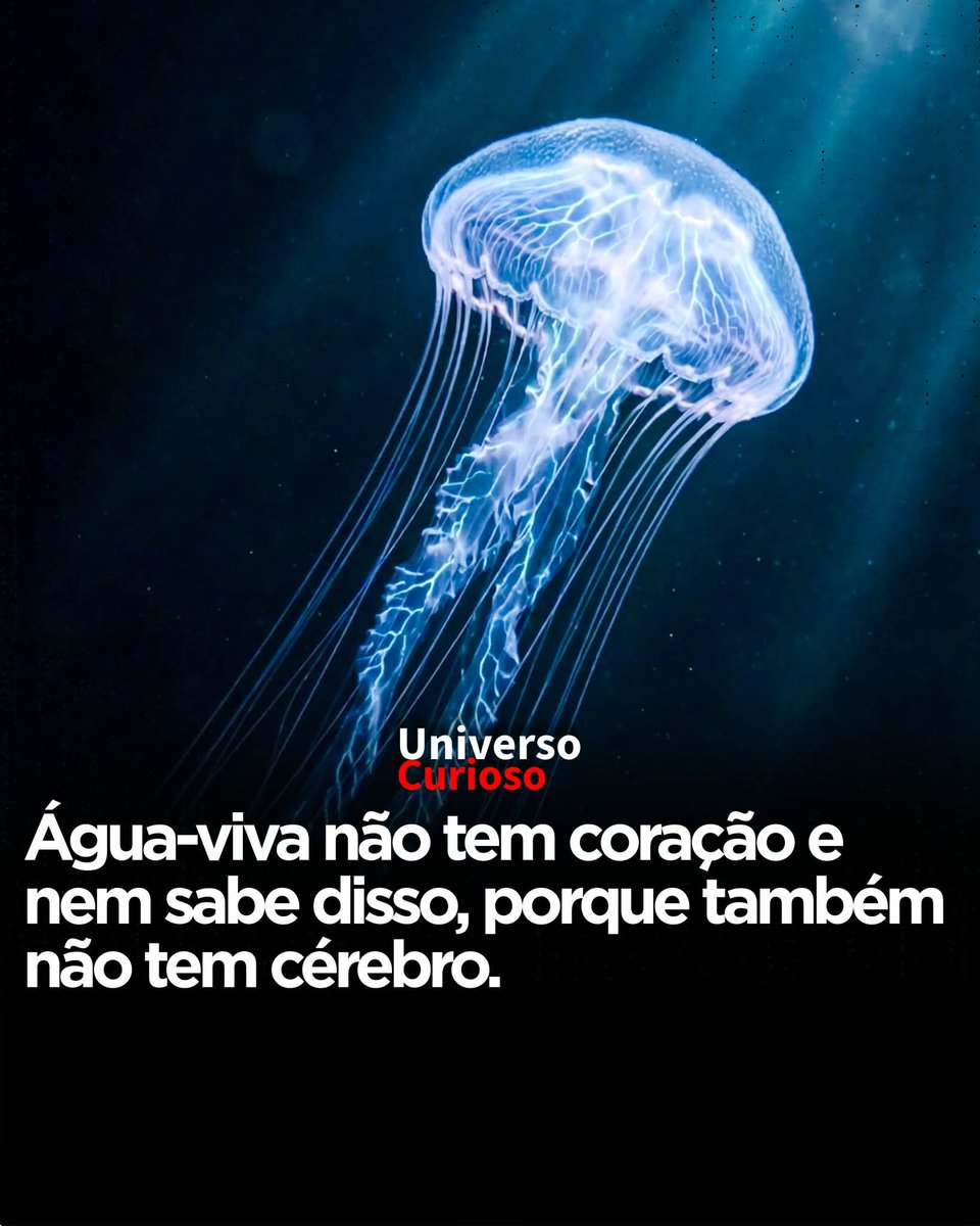 🇧🇷 ENFIA O L NO SEU KÚ 🇧🇷 tweet media