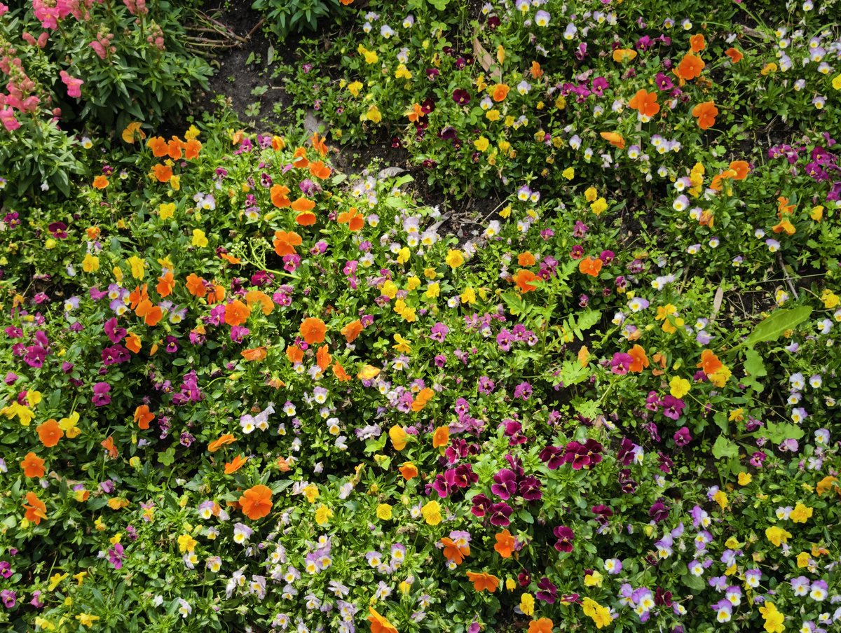 咁又未必 tweet media