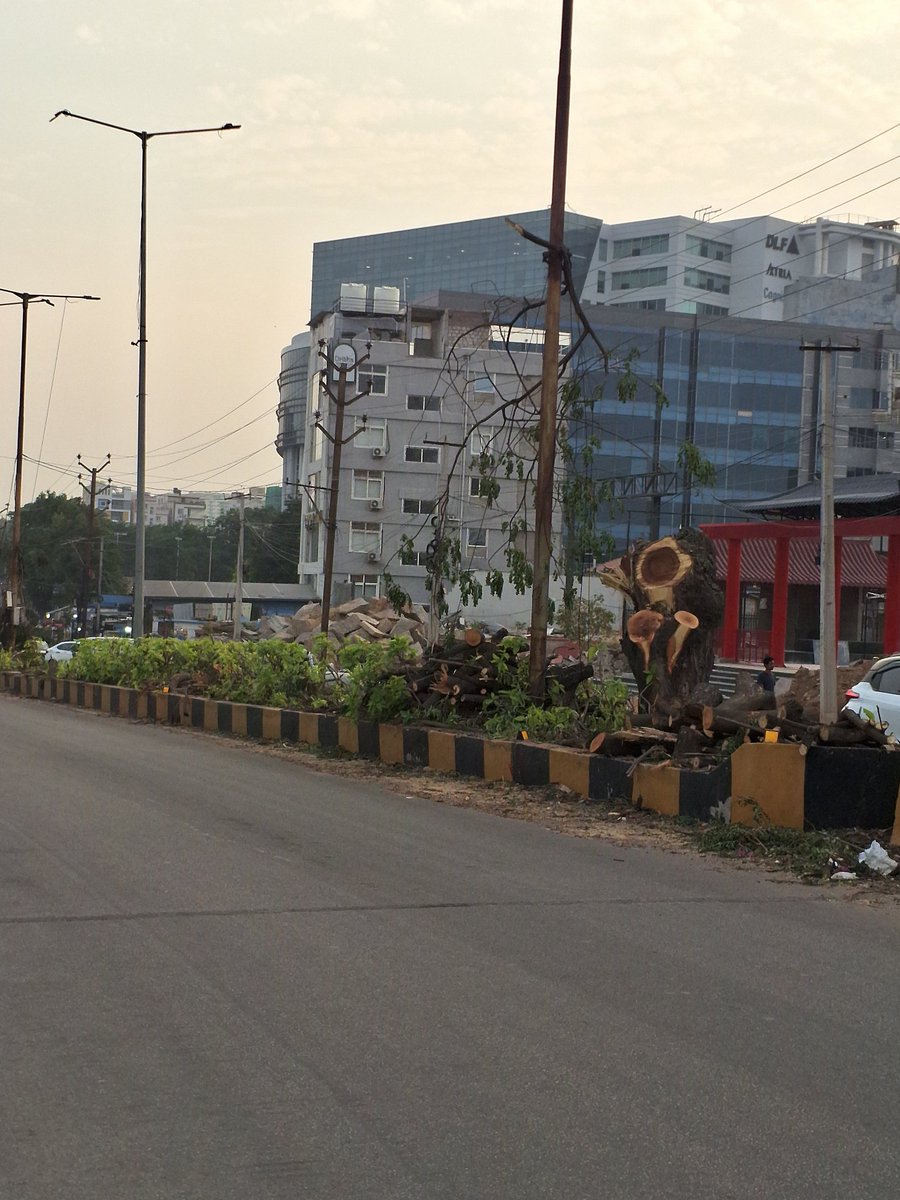 Jajjanaka tweet media