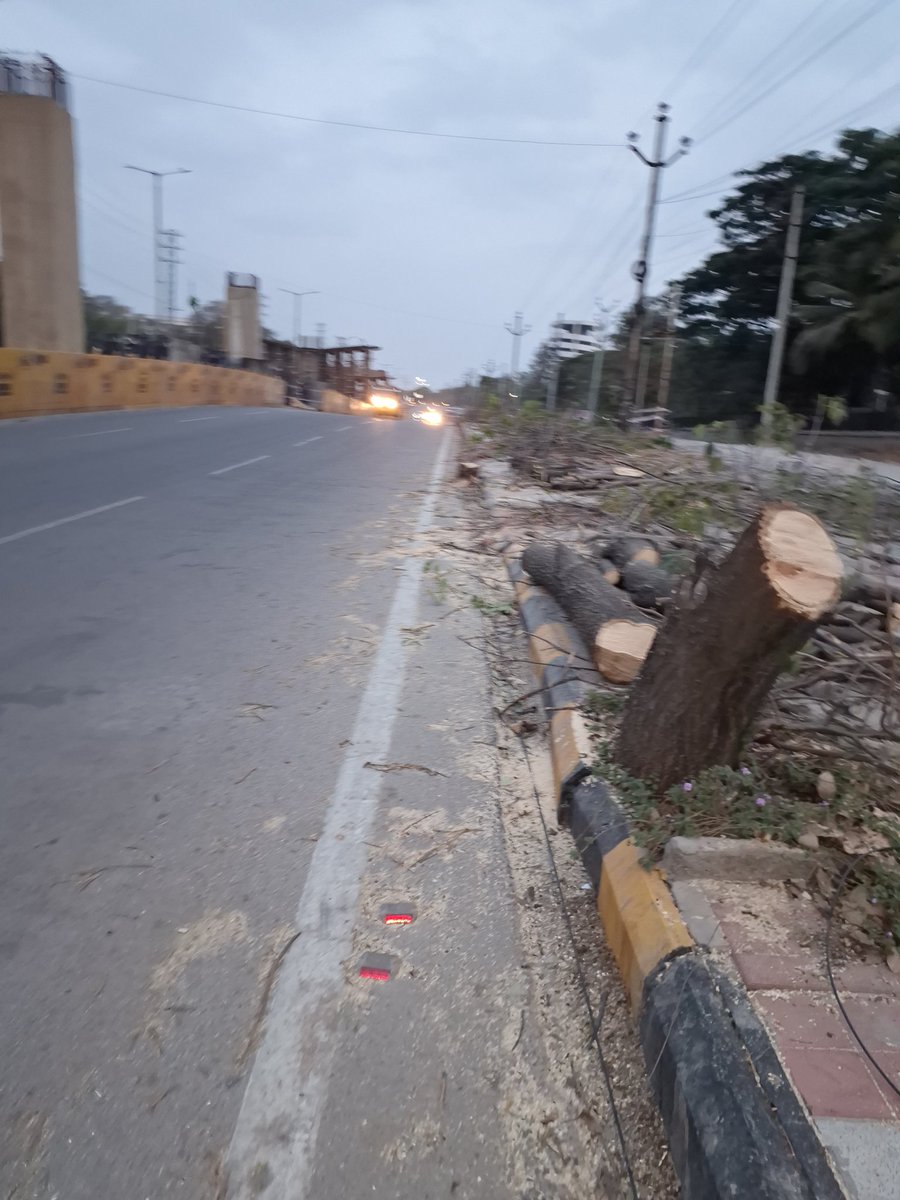 Jajjanaka tweet media