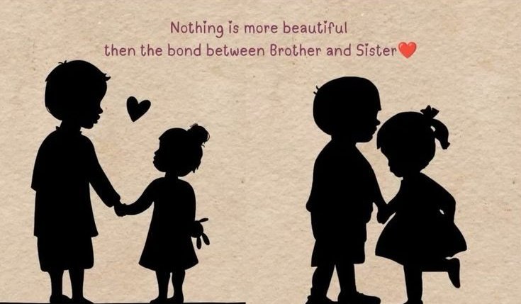 مُــحـتــرمـَᷟـــͥـــہ🦂 tweet media