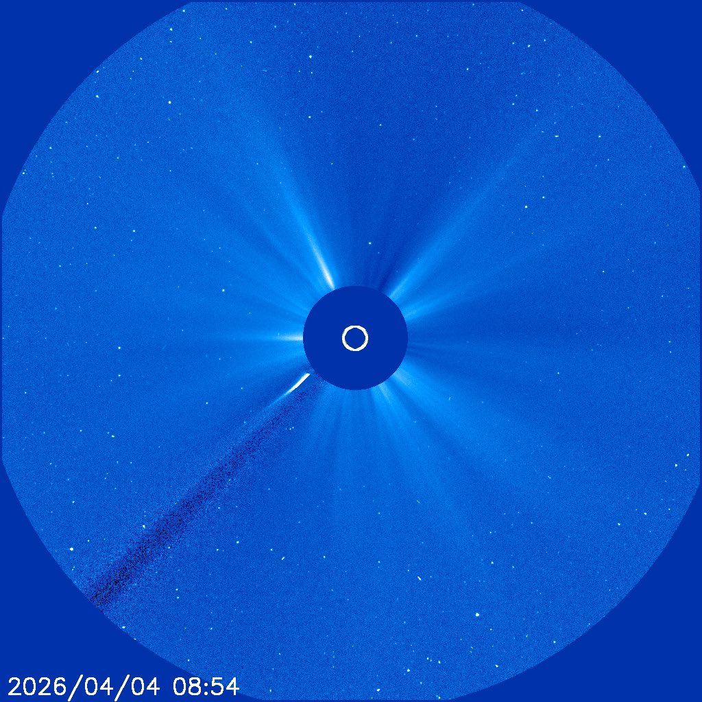 井上毅　INOUE Takeshi tweet media