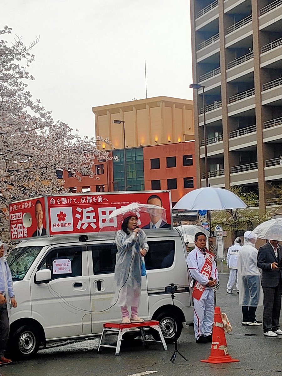 Chisato Murata@Antifa 🇵🇸🇺🇦🕊 tweet media