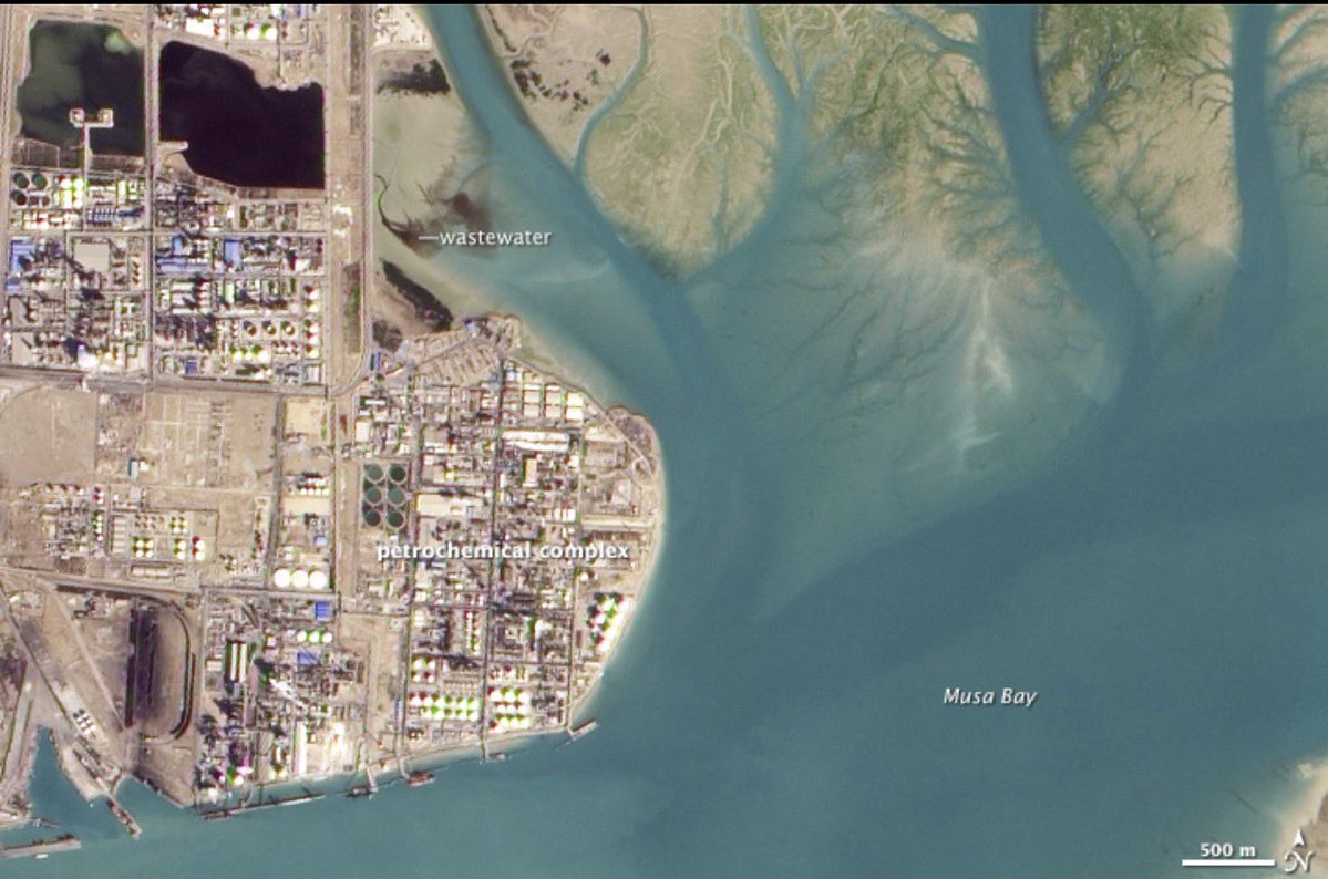 Drop Site tweet media