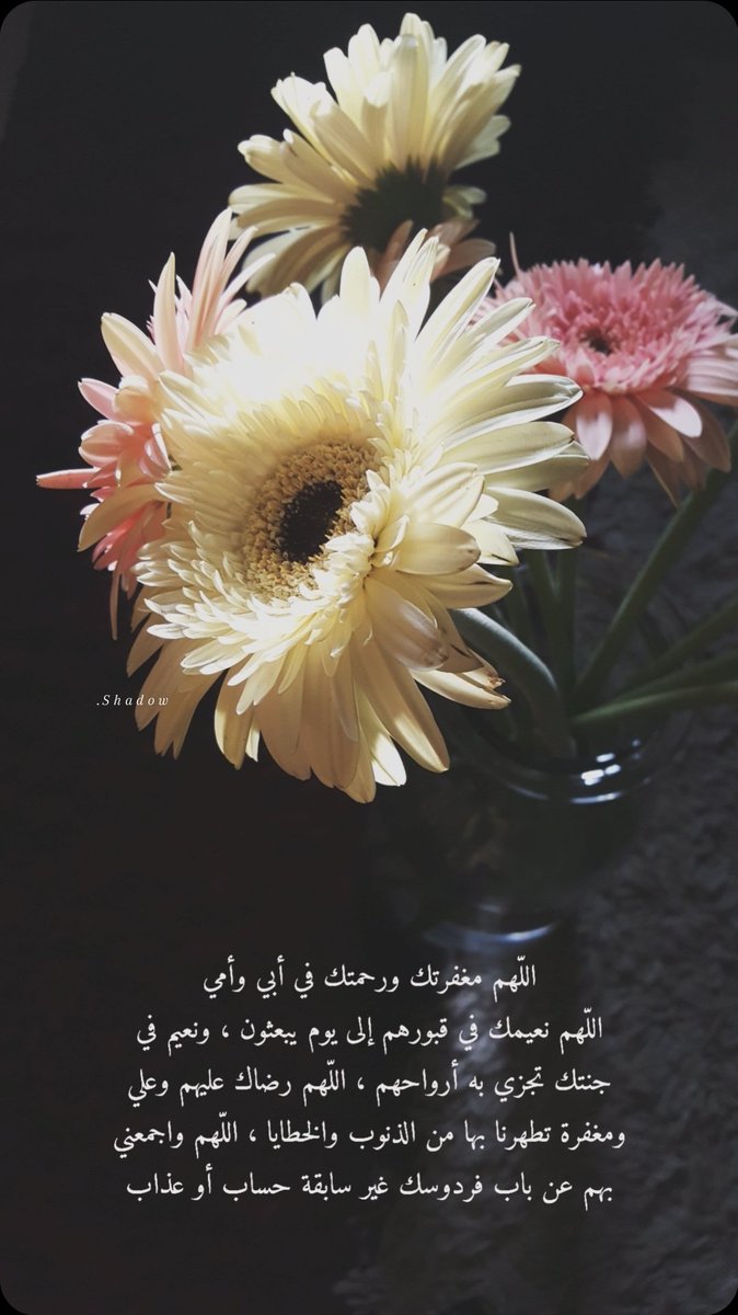shadow8princess's tweet photo. 🌼🌸

`

اللهم آمين . . . https://t.co/UNiRuO7wZG