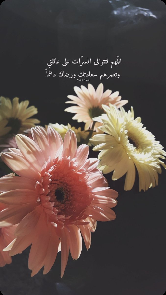shadow8princess's tweet photo. 🌼🌸

`

اللهم آمين . . . https://t.co/UNiRuO7wZG