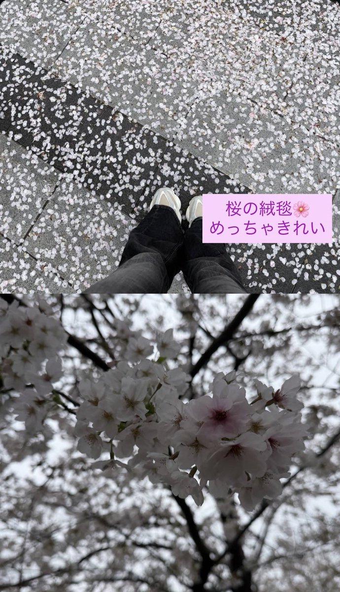 えみか tweet media