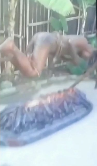 NEMOZAZA tweet media