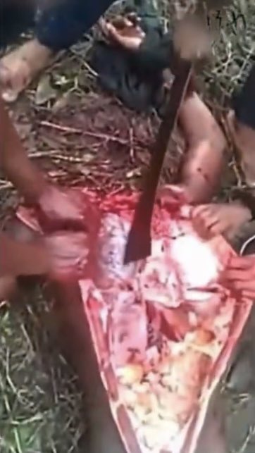 NEMOZAZA tweet media