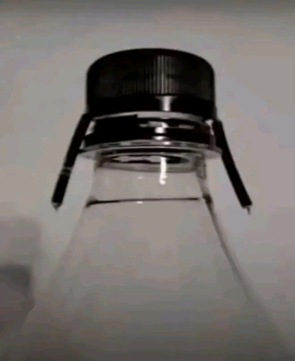 Colostino tweet media